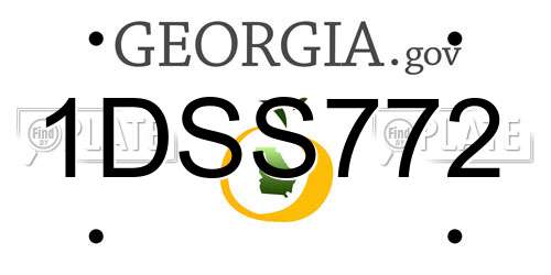 1DSS772 Georgia License Plate