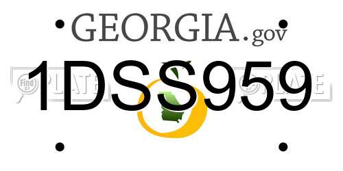 1DSS959 Georgia License Plate