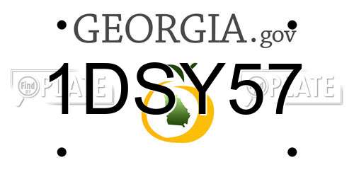 1DSY57 Georgia License Plate