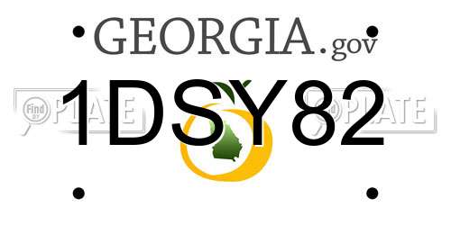 1DSY82 Georgia License Plate