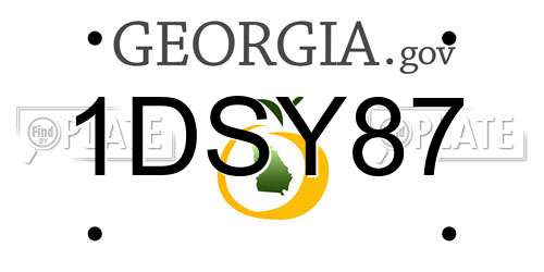 1DSY87 Georgia License Plate