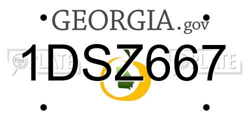 1DSZ667 Georgia License Plate