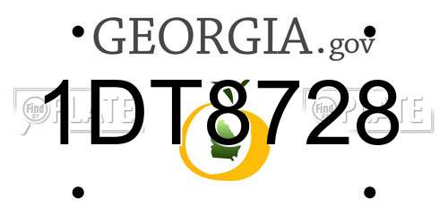 1DT8728 Georgia License Plate