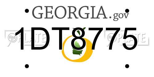 1DT8775 Georgia License Plate