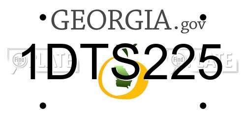 1DTS225 Georgia License Plate