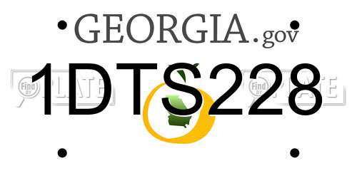 1DTS228 Georgia License Plate
