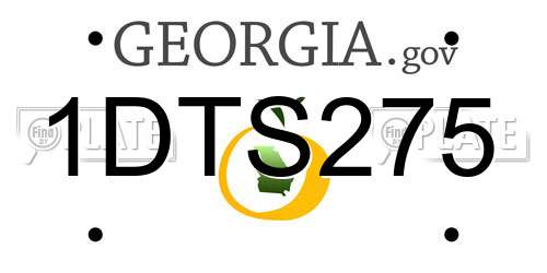 1DTS275 Georgia License Plate