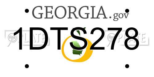 1DTS278 Georgia License Plate