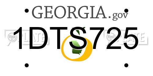 1DTS725 Georgia License Plate