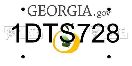 1DTS728 Georgia License Plate