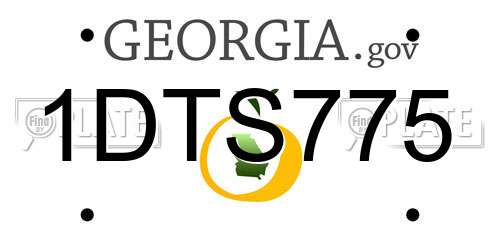 1DTS775 Georgia License Plate