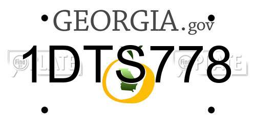 1DTS778 Georgia License Plate