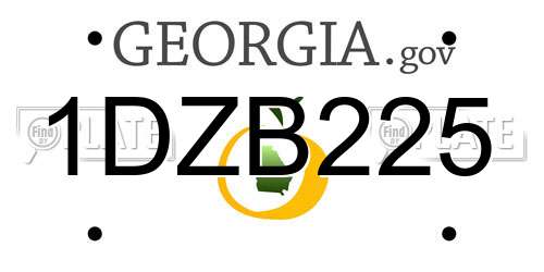 1DZB225 Georgia License Plate