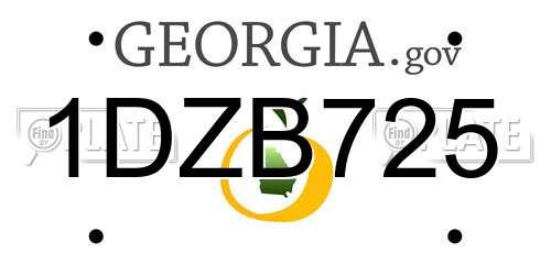 1DZB725 Georgia License Plate