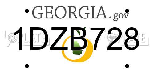 1DZB728 Georgia License Plate