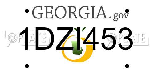 1DZI453 Georgia License Plate