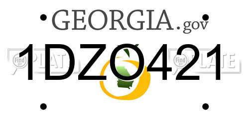 1DZO421 Georgia License Plate