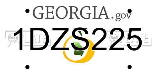 1DZS225 Georgia License Plate