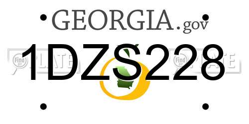 1DZS228 Georgia License Plate
