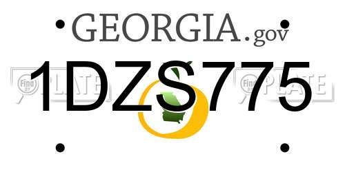 1DZS775 Georgia License Plate