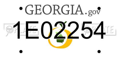 1E02254 Georgia License Plate