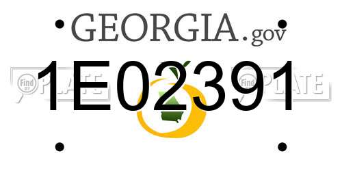 1E02391 Georgia License Plate