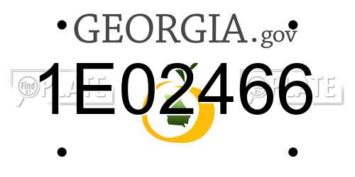 1E02466 Georgia License Plate