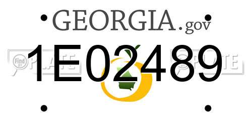1E02489 Georgia License Plate