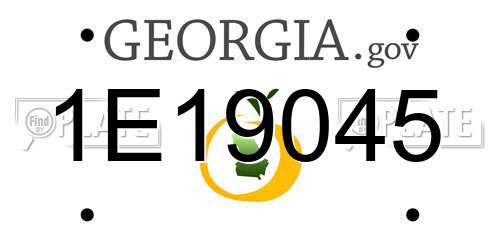 1E19045 Georgia License Plate