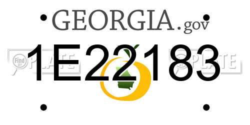 1E22183 Georgia License Plate