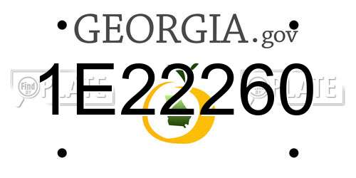 1E22260 Georgia License Plate