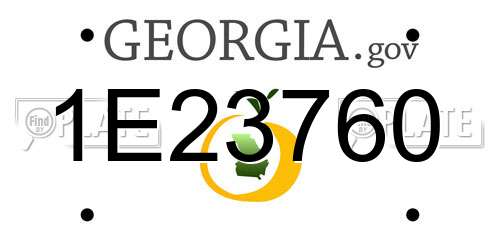 1E23760 Georgia License Plate
