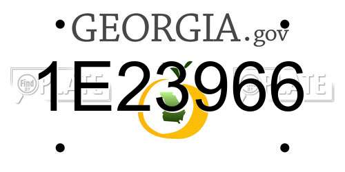 1E23966 Georgia License Plate