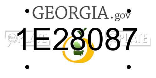 1E28087 Georgia License Plate