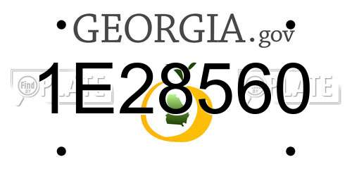 1E28560 Georgia License Plate