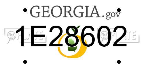 1E28602 Georgia License Plate