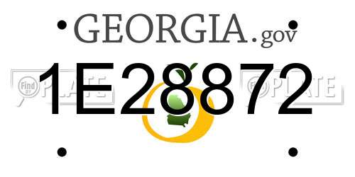 1E28872 Georgia License Plate