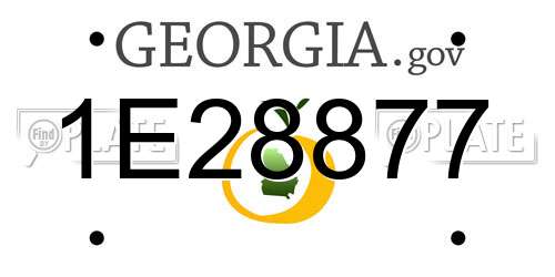 1E28877 Georgia License Plate