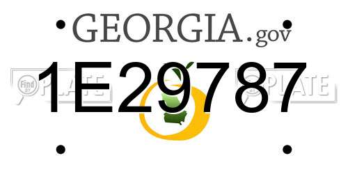 1E29787 Georgia License Plate