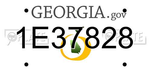 1E37828 Georgia License Plate