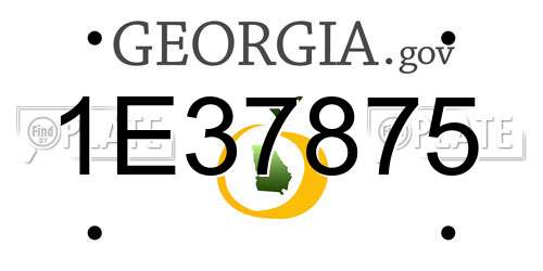 1E37875 Georgia License Plate
