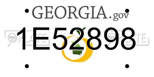 1E52898 Georgia License Plate