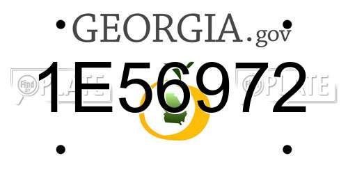 1E56972 Georgia License Plate