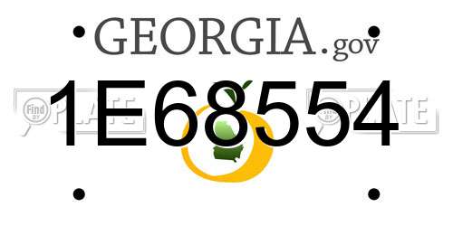 1E68554 Georgia License Plate