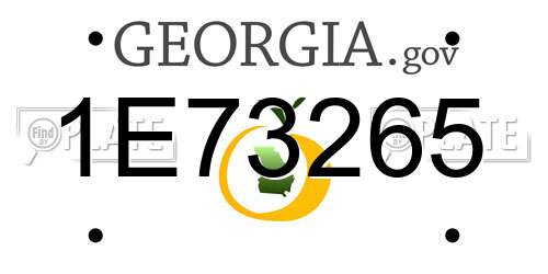 1E73265 Georgia License Plate