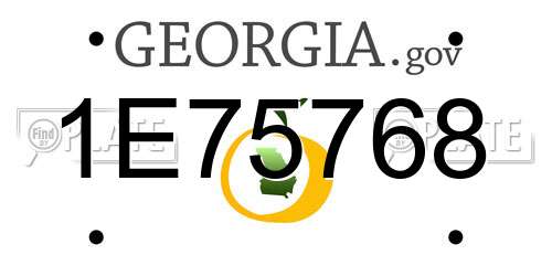 1E75768 Georgia License Plate
