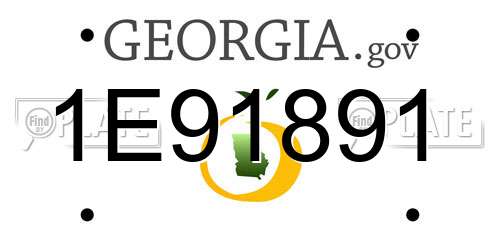 1E91891 Georgia License Plate