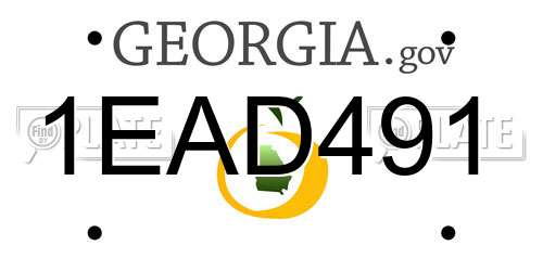 1EAD491 Georgia License Plate
