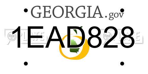 1EAD828 Georgia License Plate