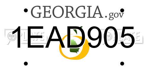 1EAD905 Georgia License Plate